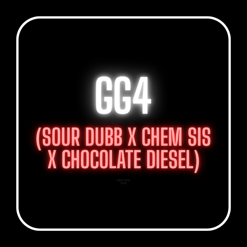 GG4