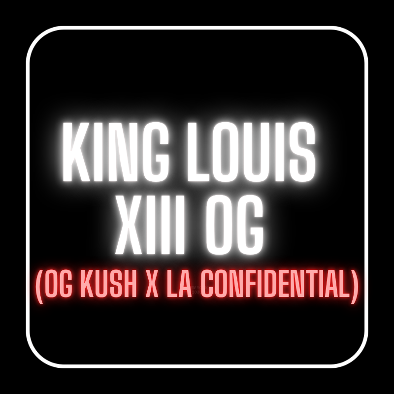 KING LOUIS XIII OG