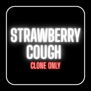 STRAWBERRY COUGH