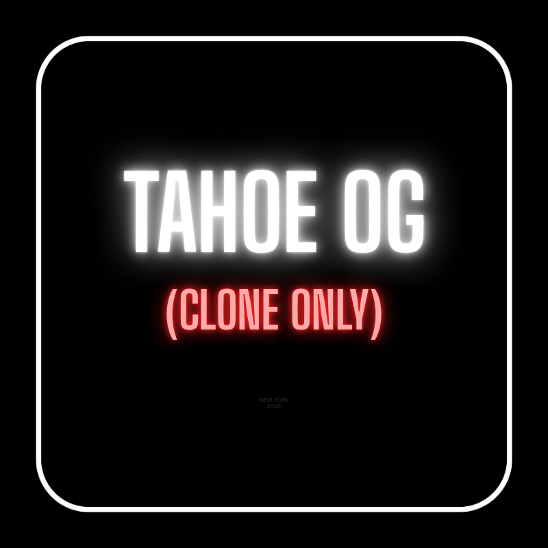 TAHOE OG